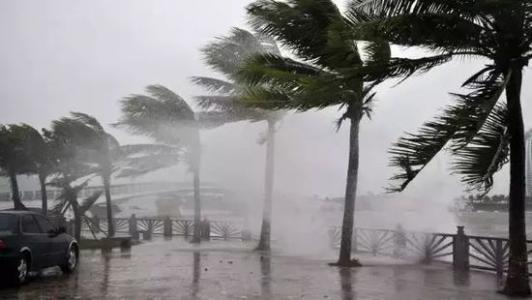 8月臺風雨即將來，除濕機還得用起來