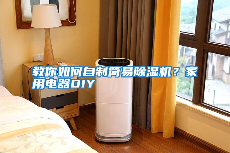 教你如何自制簡易除濕機(jī)？家用電器DIY