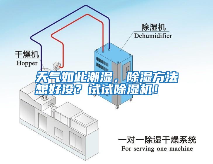 天氣如此潮濕，除濕方法想好沒？試試除濕機！