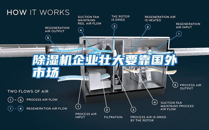 除濕機企業(yè)壯大要靠國外市場