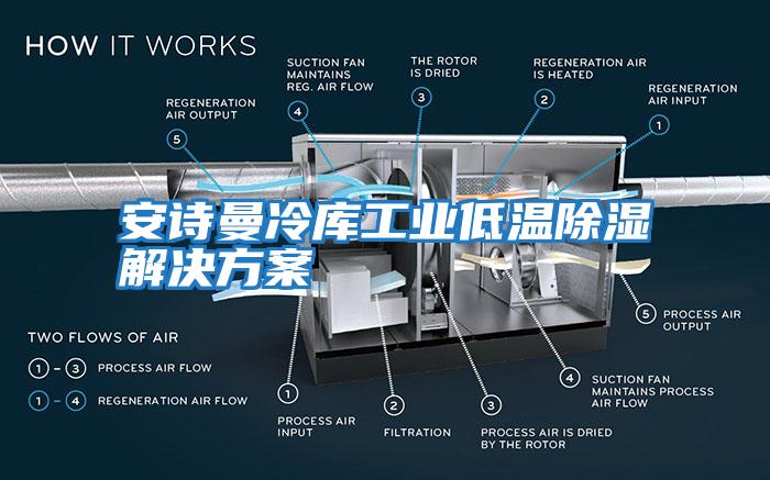 安詩(shī)曼冷庫(kù)工業(yè)低溫除濕解決方案