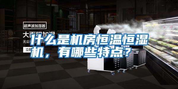 什么是機房恒溫恒濕機，有哪些特點？