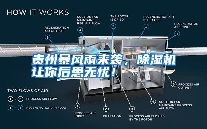 貴州暴風(fēng)雨來(lái)襲，除濕機(jī)讓你后患無(wú)憂！