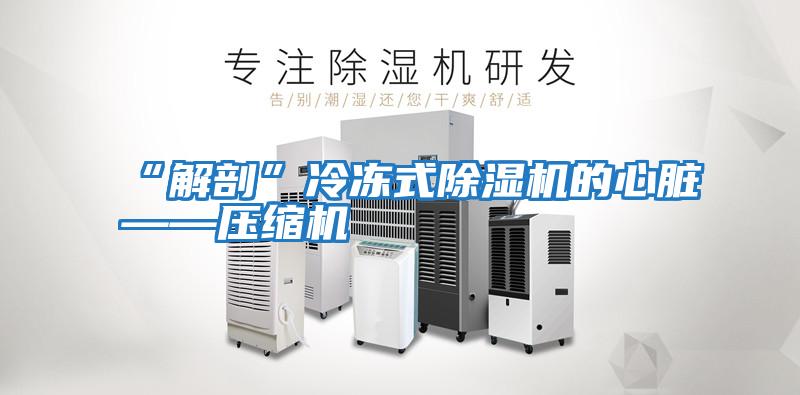 “解剖”冷凍式除濕機的心臟——壓縮機