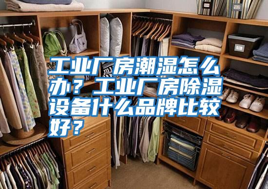 工業(yè)廠房潮濕怎么辦？工業(yè)廠房除濕設(shè)備什么品牌比較好？