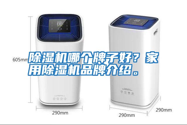 除濕機(jī)哪個(gè)牌子好？家用除濕機(jī)品牌介紹。