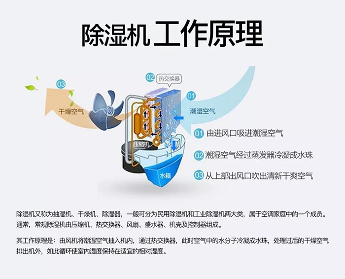 潮濕天氣狗最容易患上這種毛??！三個(gè)注意事項(xiàng)，鏟屎官一定要看看