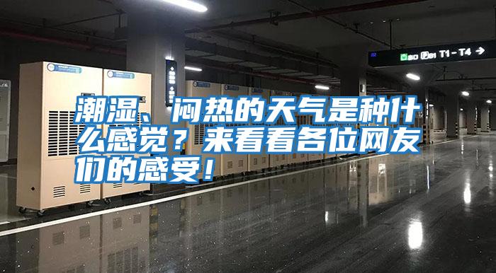 潮濕、悶熱的天氣是種什么感覺？來看看各位網(wǎng)友們的感受！