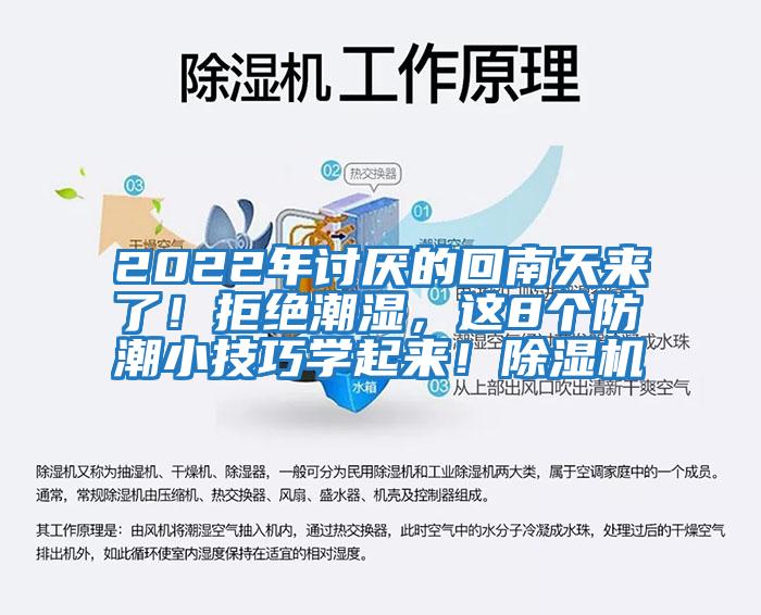 2022年討厭的回南天來了！拒絕潮濕，這8個防潮小技巧學(xué)起來！除濕機