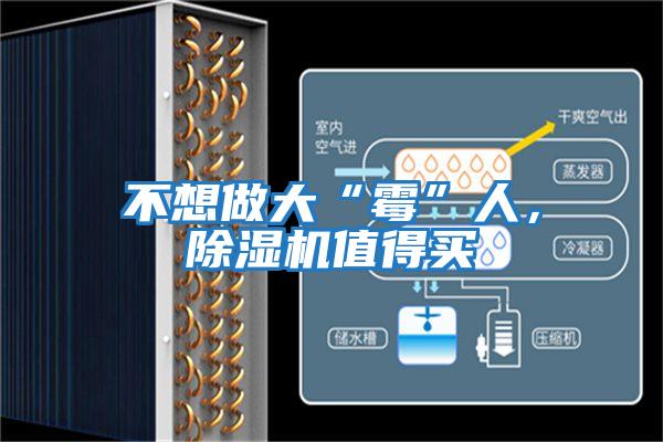 不想做大“霉”人，除濕機(jī)值得買(mǎi)