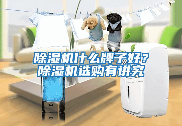 除濕機什么牌子好？除濕機選購有講究