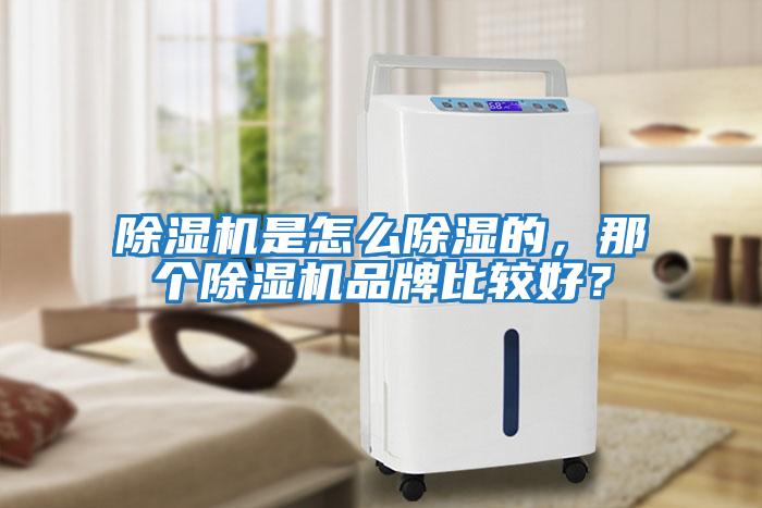 除濕機(jī)是怎么除濕的，那個(gè)除濕機(jī)品牌比較好？