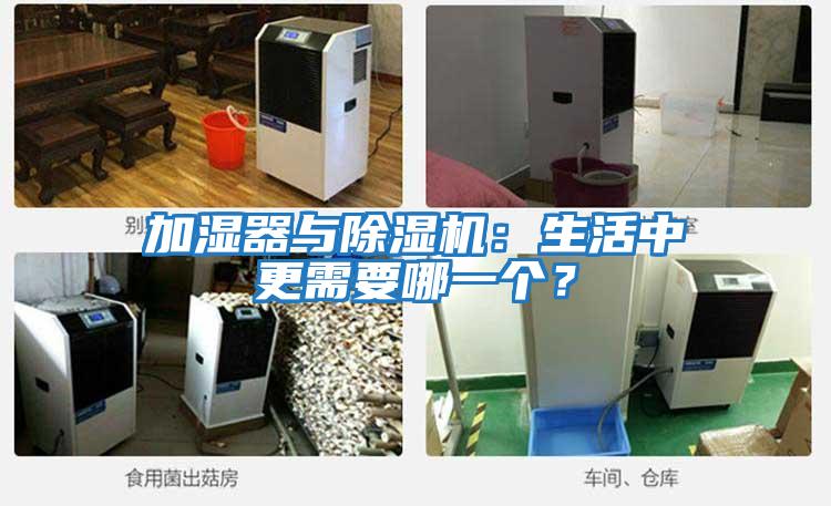 加濕器與除濕機：生活中更需要哪一個？