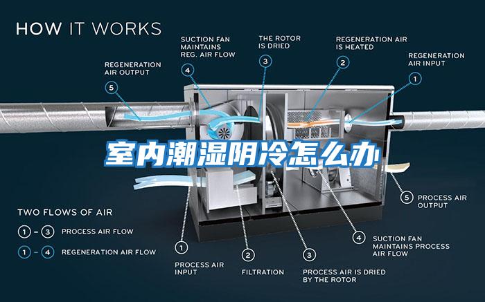 室內(nèi)潮濕陰冷怎么辦