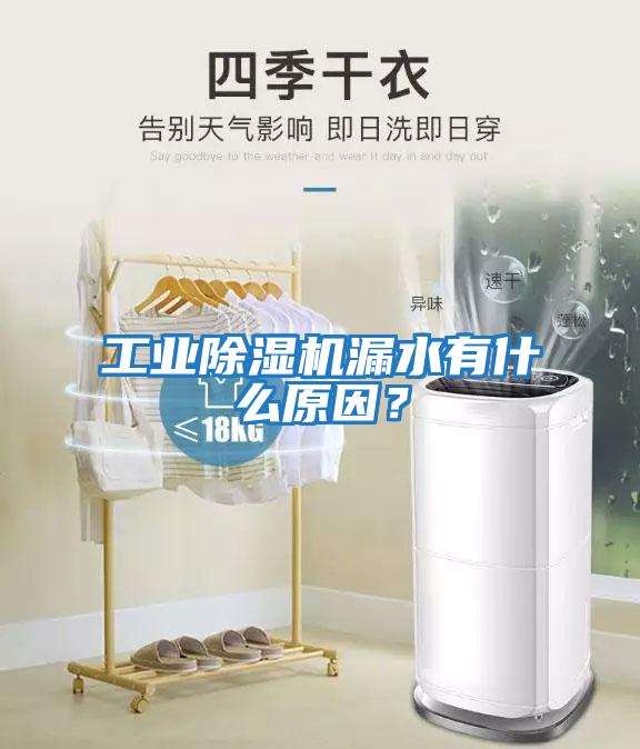 工業(yè)除濕機(jī)漏水有什么原因？