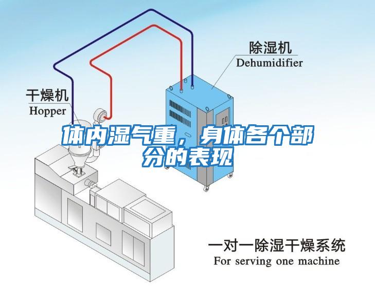 體內(nèi)濕氣重，身體各個(gè)部分的表現(xiàn)