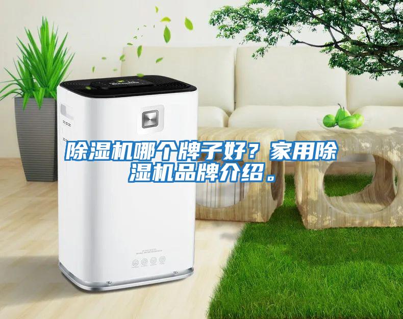 除濕機哪個牌子好？家用除濕機品牌介紹。