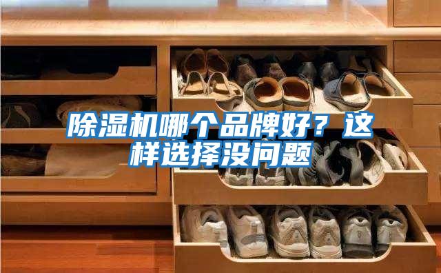 除濕機哪個品牌好？這樣選擇沒問題