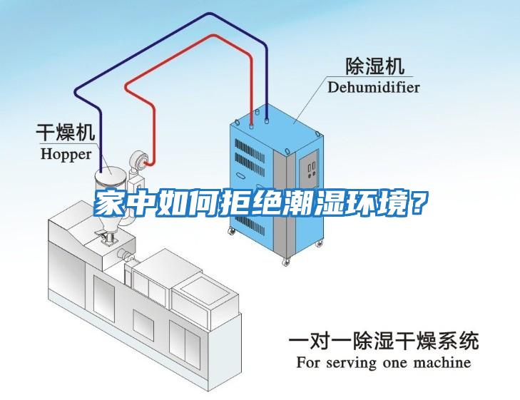 家中如何拒絕潮濕環(huán)境？