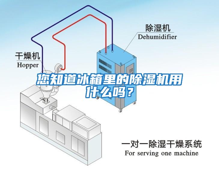 您知道冰箱里的除濕機用什么嗎？