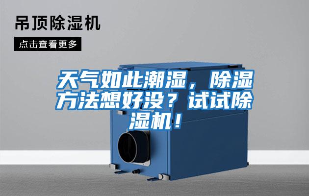 天氣如此潮濕，除濕方法想好沒？試試除濕機(jī)！