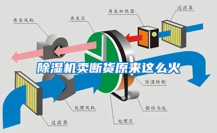 除濕機賣斷貨原來這么火