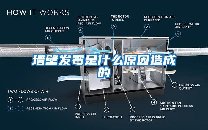 墻壁發(fā)霉是什么原因造成的