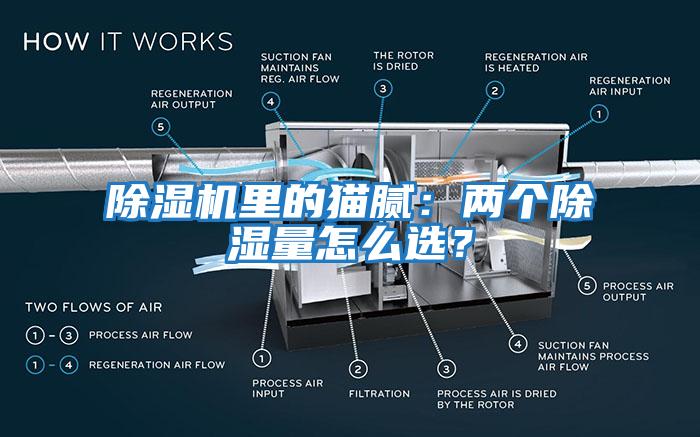 除濕機(jī)里的貓膩：兩個(gè)除濕量怎么選？