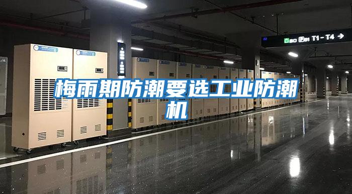 梅雨期防潮要選工業(yè)防潮機(jī)