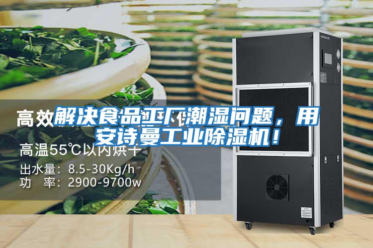 解決食品工廠潮濕問題，用安詩(shī)曼工業(yè)除濕機(jī)！