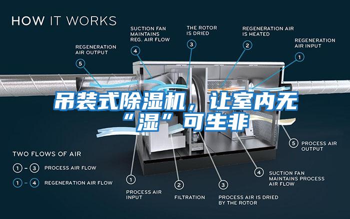 吊裝式除濕機，讓室內(nèi)無“濕”可生非