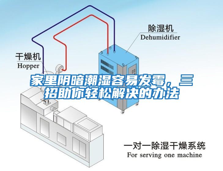 家里陰暗潮濕容易發(fā)霉，三招助你輕松解決的辦法