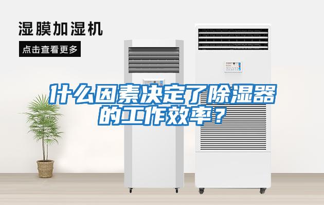 什么因素決定了除濕器的工作效率？