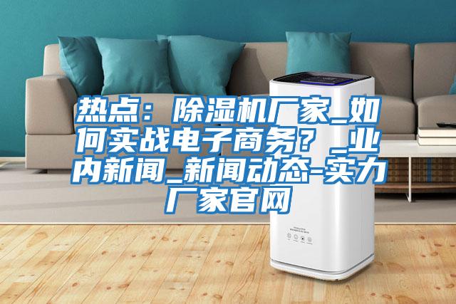 熱點：除濕機廠家_如何實戰(zhàn)電子商務？_業(yè)內(nèi)新聞_新聞動態(tài)-實力廠家官網(wǎng)