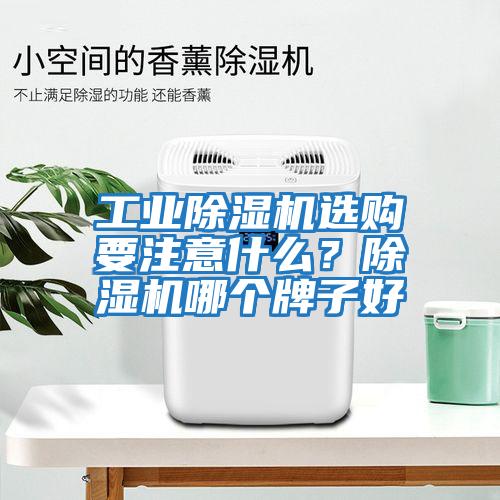 工業(yè)除濕機選購要注意什么？除濕機哪個牌子好