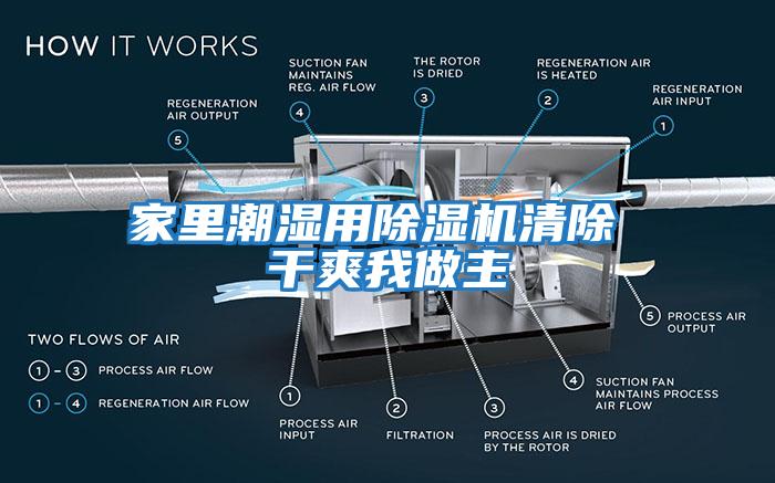 家里潮濕用除濕機清除 干爽我做主