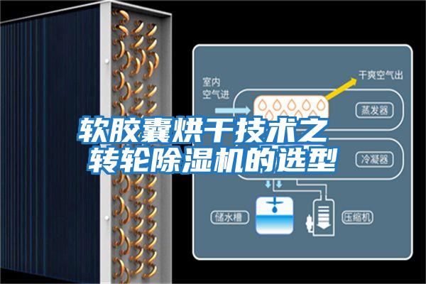 軟膠囊烘干技術(shù)之 轉(zhuǎn)輪除濕機(jī)的選型