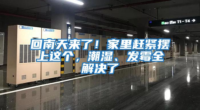 回南天來了！家里趕緊擺上這個(gè)，潮濕、發(fā)霉全解決了