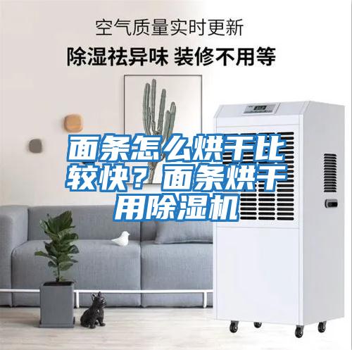 面條怎么烘干比較快？面條烘干用除濕機