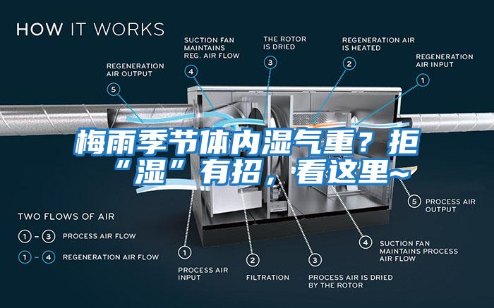 梅雨季節(jié)體內(nèi)濕氣重？拒“濕”有招，看這里~