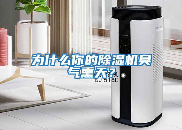 為什么你的除濕機(jī)臭氣熏天？