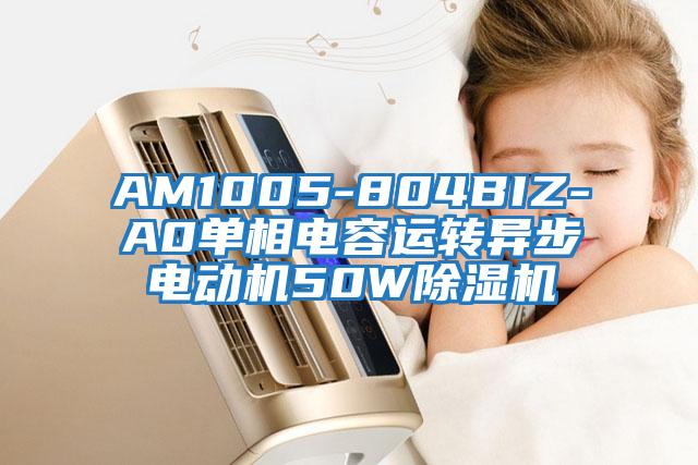 AM1005-804BIZ-A0單相電容運(yùn)轉(zhuǎn)異步電動(dòng)機(jī)50W除濕機(jī)