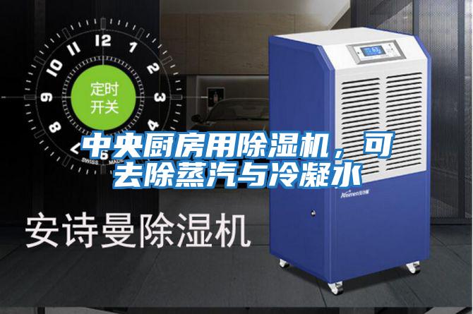 中央廚房用除濕機，可去除蒸汽與冷凝水