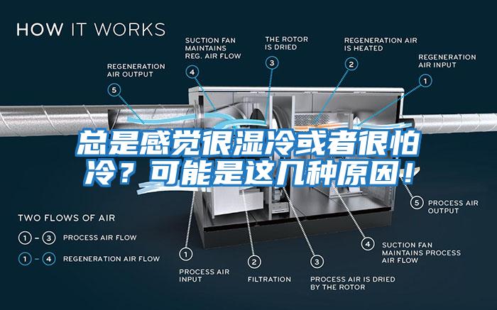 總是感覺很濕冷或者很怕冷？可能是這幾種原因！