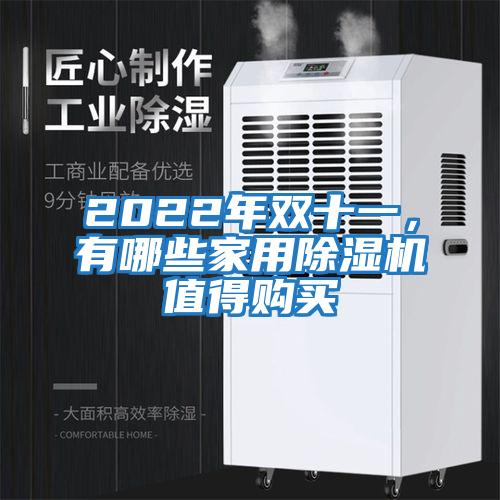 2022年雙十一，有哪些家用除濕機(jī)值得購(gòu)買(mǎi)