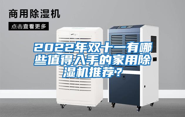 2022年雙十一有哪些值得入手的家用除濕機(jī)推薦？