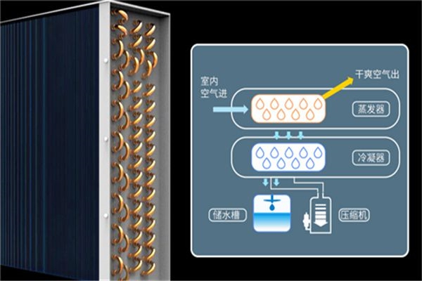 夏季使用家用除濕機優(yōu)勢