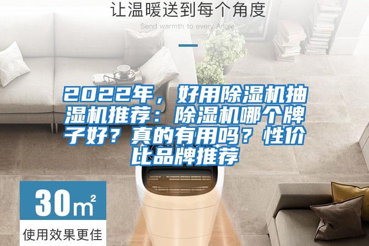 2022年，好用除濕機(jī)抽濕機(jī)推薦：除濕機(jī)哪個(gè)牌子好？真的有用嗎？性價(jià)比品牌推薦