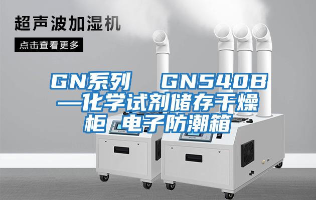 GN系列  GN540B—化學試劑儲存干燥柜 電子防潮箱