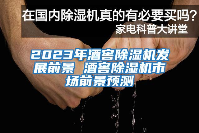 2023年酒窖除濕機(jī)發(fā)展前景 酒窖除濕機(jī)市場(chǎng)前景預(yù)測(cè)